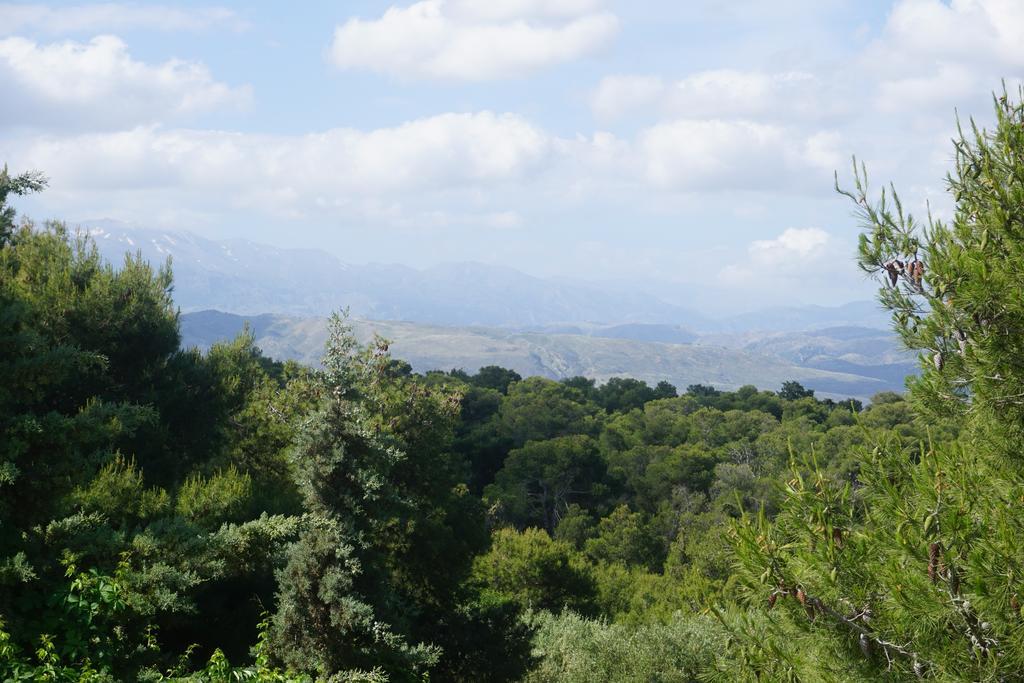 Monte Vardia Chania  Room photo
