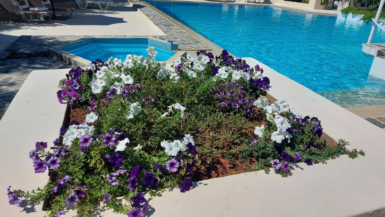 Monte Vardia Chania  Exterior photo